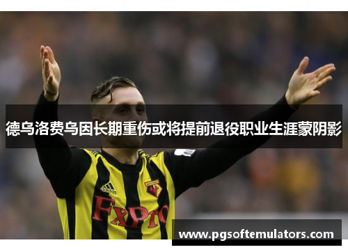 德乌洛费乌因长期重伤或将提前退役职业生涯蒙阴影 德乌洛费乌因长期重伤或将提前退役职业生涯蒙阴影