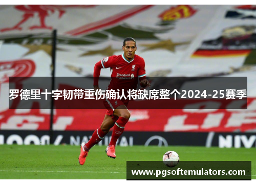 罗德里十字韧带重伤确认将缺席整个2024-25赛季 罗德里十字韧带重伤确认将缺席整个2024-25赛季