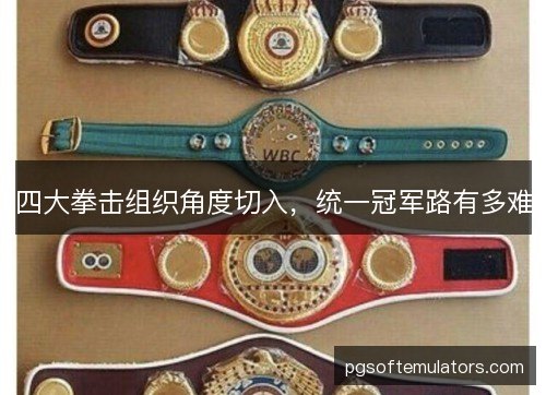 四大拳击组织角度切入,统一冠军路有多难 四大拳击组织角度切入,统一冠军路有多难