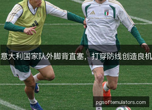 意大利国家队外脚背直塞,打穿防线创造良机 意大利国家队外脚背直塞,打穿防线创造良机